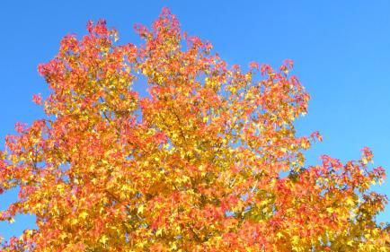 Millygite Cosy Loft - Foto 21