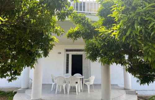 Pegasus House - Foto 1