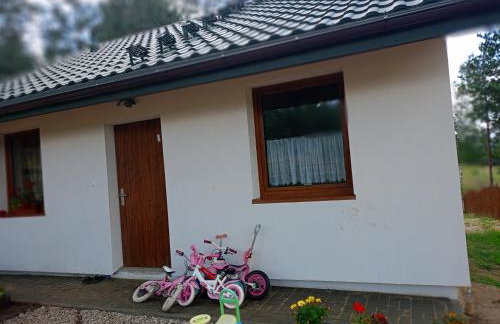 Sosnowy zakątek odpocznij tu - Foto 1