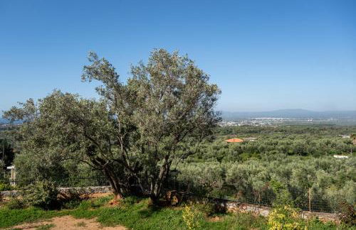 Hill House - Foto 35