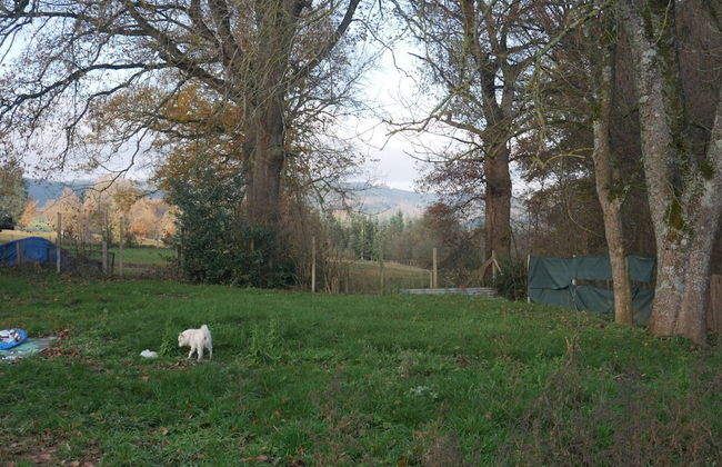 Holiday Home in Grand Helleux - Foto 18