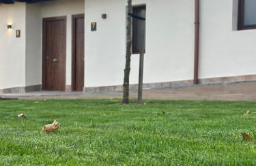 Apartamentos COTTAGE - Foto 7