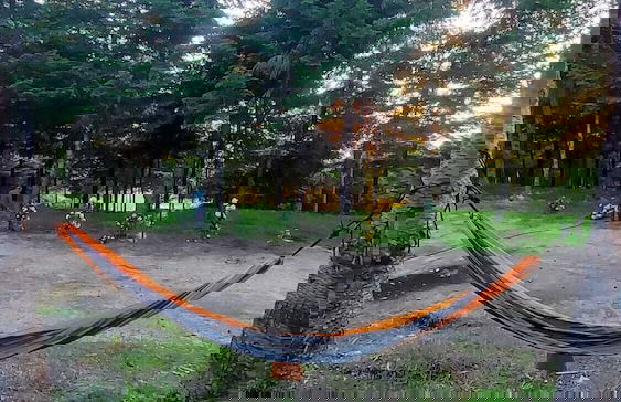 Tumba Sisli Vadi - Foto 62