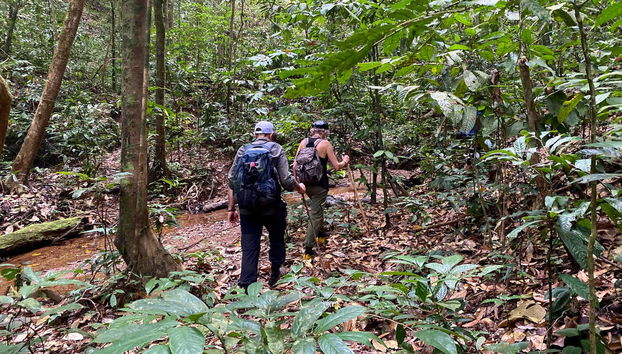 Randonnée à Gunung Leuser