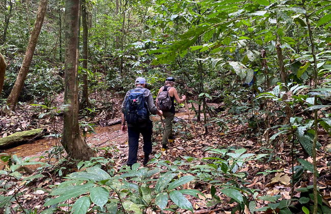 Observation d'orangs-outans à Gunung Leuser en 3 à 4 jours - Photo 2