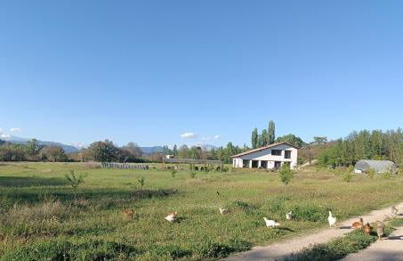 Casas Natura Suites - Finca Rural - Foto 31