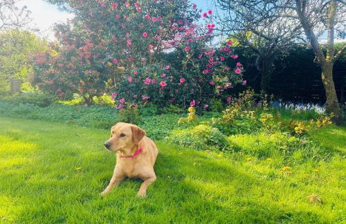 3 Bed in The Green 88586 - Foto 24