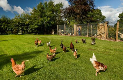 The Steading at Pitmeadow Farm - Photo 10