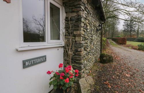 Low Jock Scar - Foto 42