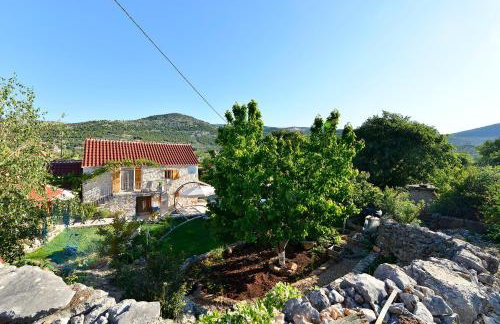 Home Sweet Home traditional Dalmatian house with pool - Photo 43