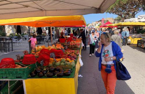 Petit paradis classé 3 étoiles à 200m de la plage! Terrasse-Wifi-Parking-clim - Foto 26