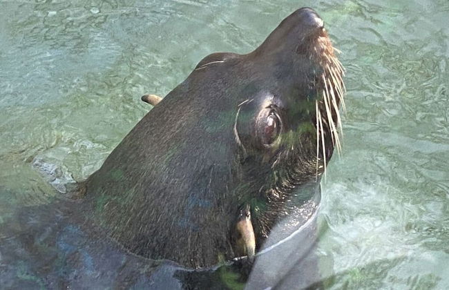 Welcoming Apartment Near Lake - Photo 26