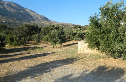 Maria Place - Foto 21