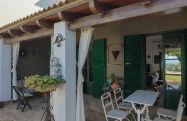 Finca Olivo Llorón - Foto 48