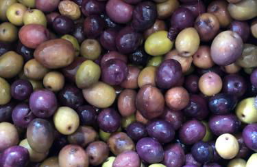 Special Farmstay, Faia-Guarda - Foto 55