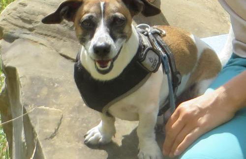 Ferienwohnung Ilona, Armin & Simon Funke - Photo 13