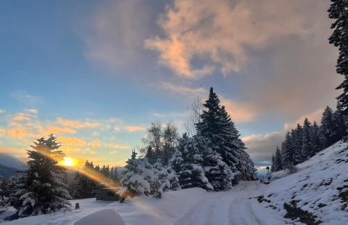 Chalet école des cimes - Foto 68