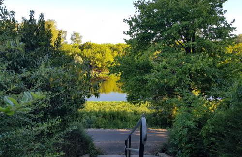 T2 lumineux vue sur Cher, 8mn Gare & centre - Photo 20