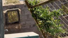 La Pérgola Calma - Foto 5, Garden