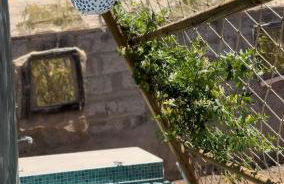 La Pérgola Calma - Foto 5