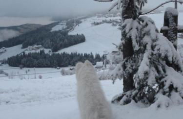 Pitznerhof - Foto 13