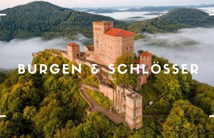 Familienglück im Waldglück Pfalz - Foto 21