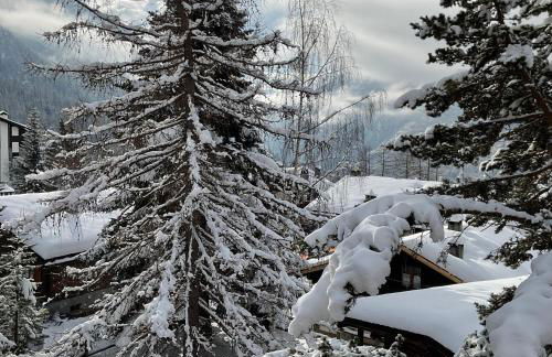 Terrazza Brengaz - Foto 13