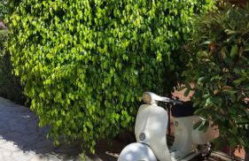 Epi Apartments - Foto 64