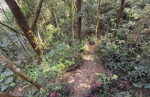 Chalé na Floresta - Refúgio Natural - Photo 25