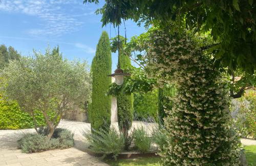 Le Mas du Chemin : mas typique des Alpilles - Foto 4