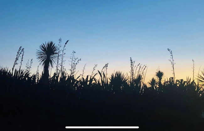 Ross Beach TOP 10 Holiday Park - Foto 76