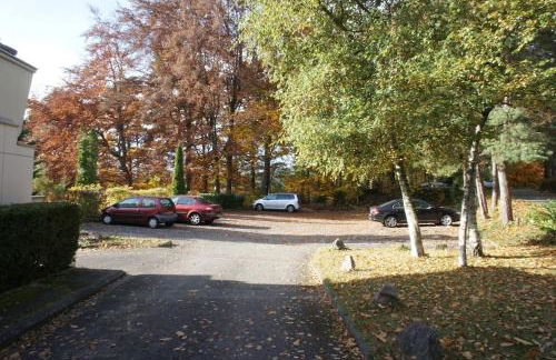 Studio entre forêt et vignoble ! - Foto 17