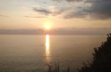 Anjos's Choice - Foto 41