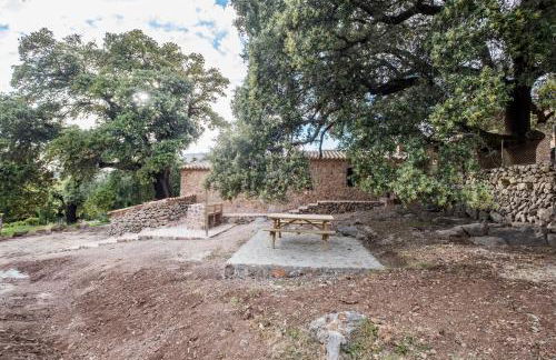 Agroturismo Son Alzines - Foto 135