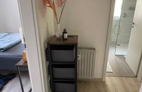 Nagelneue gemütliche 2-Zi-Wohnung - Foto 7