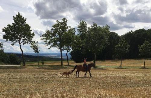 Gästehaus zum Rosengarten - Photo 55