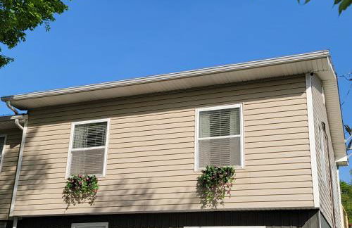 Just Dance - Foto 13