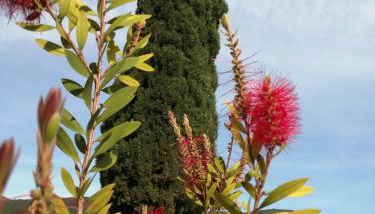 Borgo Buciardella - Foto 4