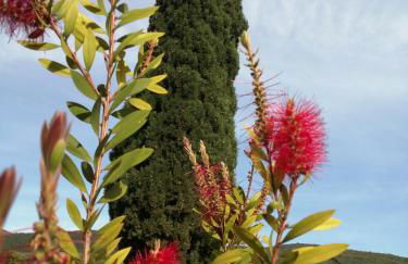 Borgo Buciardella - Foto 4