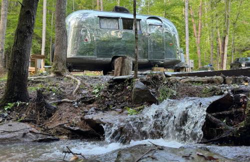 Streamside ShinyTiny Airstream in the Smokies - Foto 32