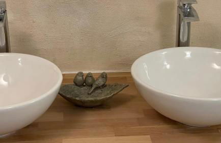 Serenity, Meditation at Notre Dame - Foto 10