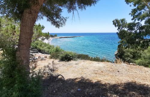 Blue & sea vol. 01 - Foto 17