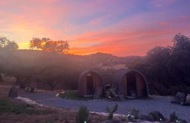 La Siesta del Naranjo - Foto 51