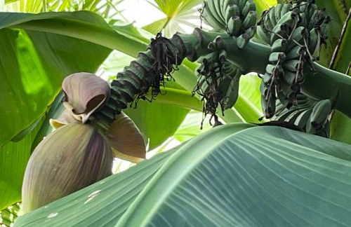 Residenz Royal - Foto 51