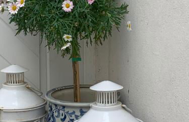 Haus Finchen - Alte Näherei - Foto 2