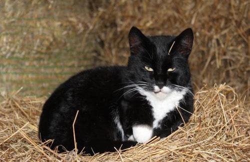 Hof Maiholm - Sattelkammer - Foto 25