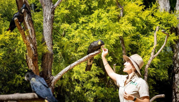 Currumbin Wildlife Sanctuary