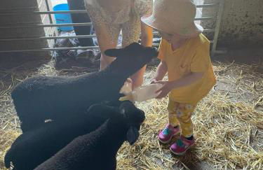 FAIRVIEW FARM Holiday Accommodation 14 Luxury Lodges, Cabins, Dog Friendly, Suitable for Couples, Families and Groups, Wedding Guests , Corporate events, Sleeps 2-65 guests in Ravenshead, Nottingham near Sherwood Forest, set in 88 acres - Photo 26