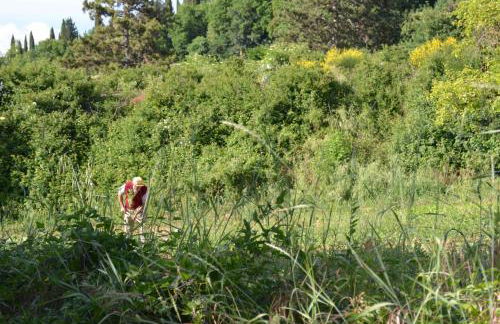 Palazzo Alle Mura - Foto 47