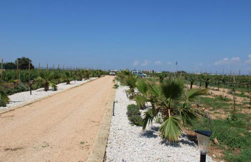 Smiles & Sunsets - Marino's Resort - Foto 151